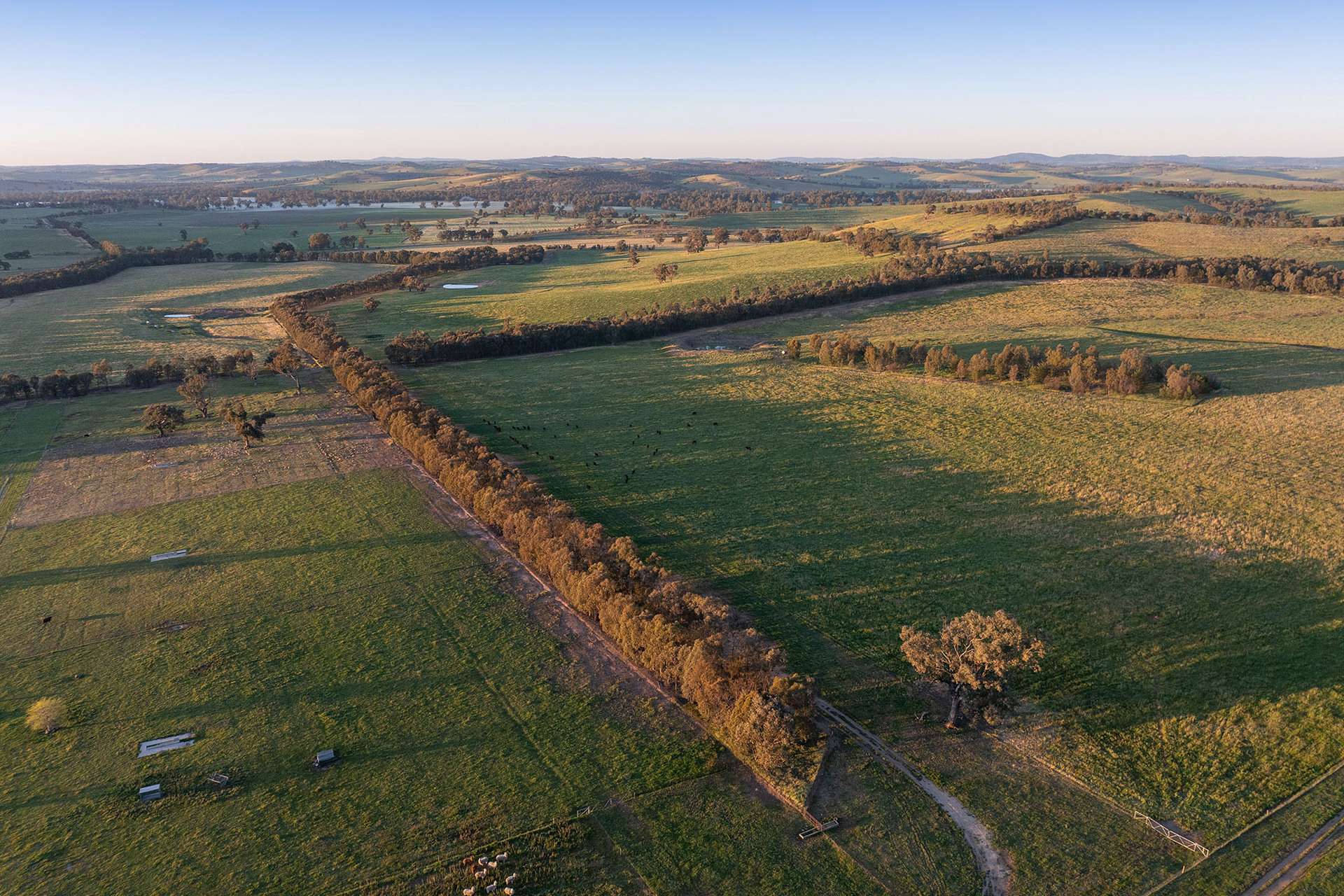 2063 Oura Road, Wagga Wagga For Sale by Farmbuy.com - image 11