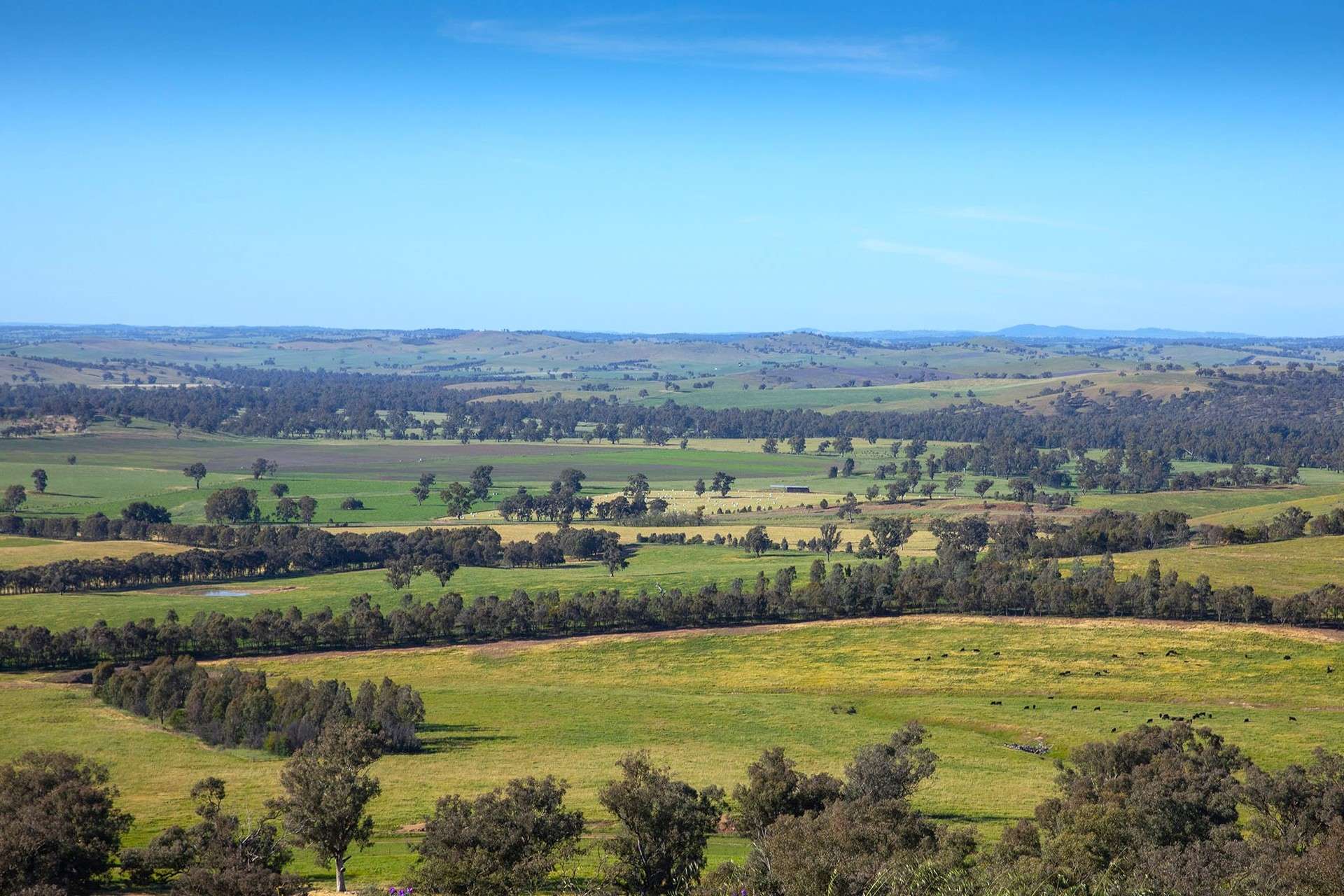 2063 Oura Road, Wagga Wagga For Sale by Farmbuy.com - image 3
