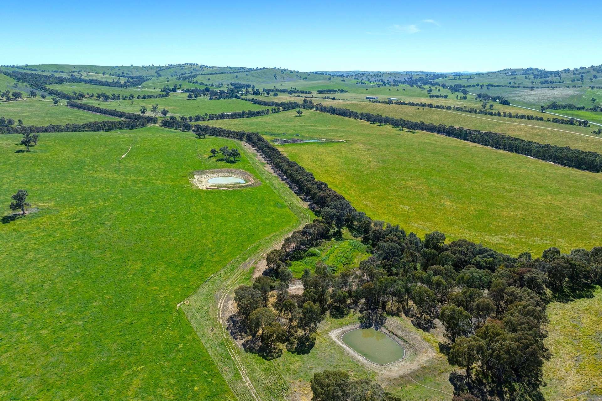 2063 Oura Road, Wagga Wagga For Sale by Farmbuy.com - image 10