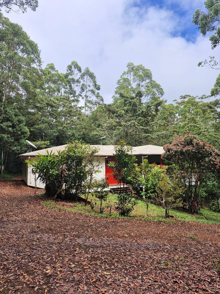 179 Gold Coast Road, Ravenshoe For Sale by Farmbuy.com - image 2