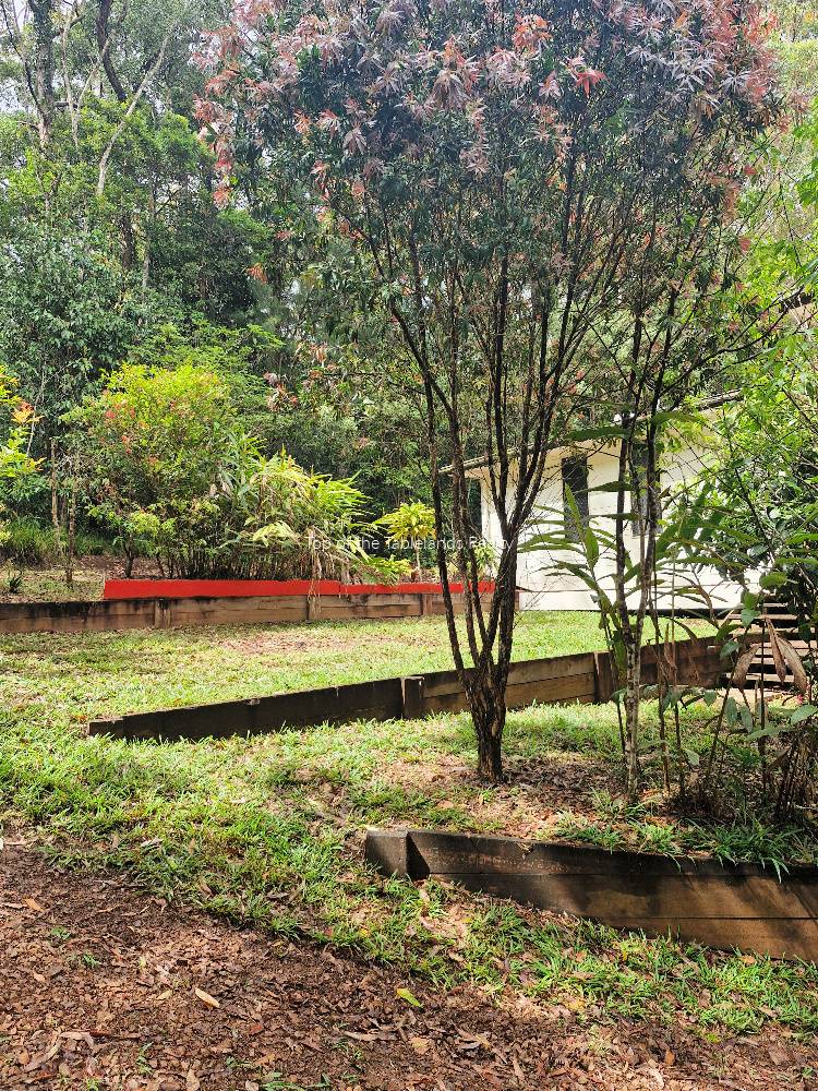 179 Gold Coast Road, Ravenshoe For Sale by Farmbuy.com - image 20