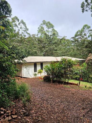 Farm For Sale - QLD - Ravenshoe - 4888 - Gold Coast Hide away in the rainforrest. 