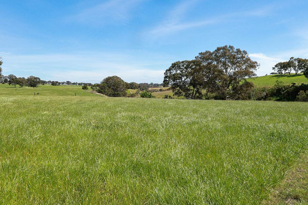 282 Clifton Road, Yulecart For Sale by Farmbuy.com - image 27