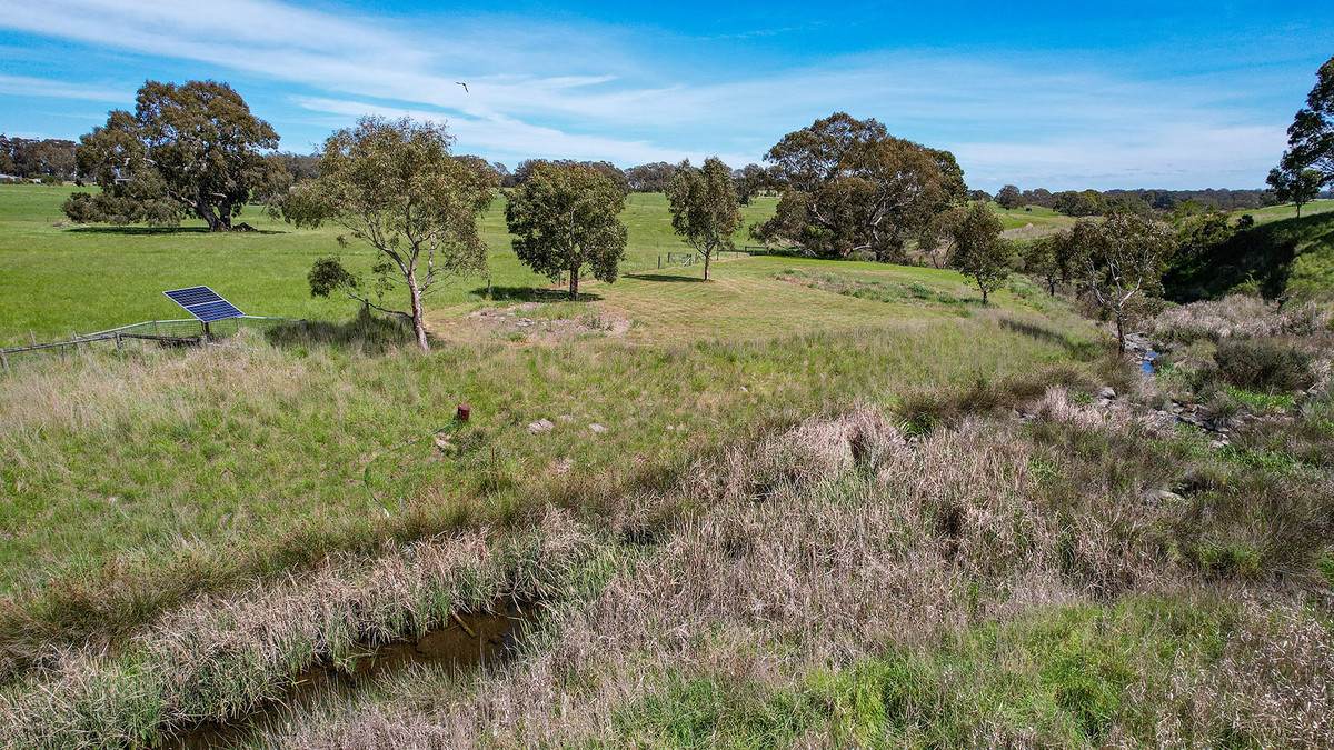282 Clifton Road, Yulecart For Sale by Farmbuy.com - image 16