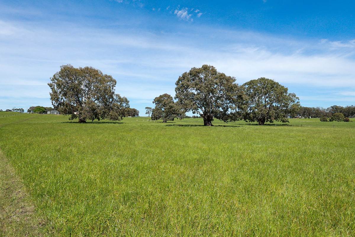 282 Clifton Road, Yulecart For Sale by Farmbuy.com - image 28