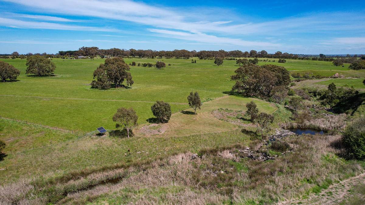 282 Clifton Road, Yulecart For Sale by Farmbuy.com - image 21