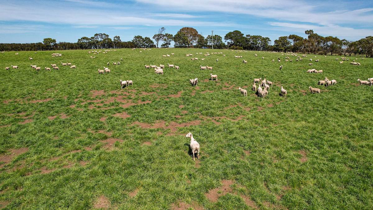 282 Clifton Road, Yulecart For Sale by Farmbuy.com - image 15