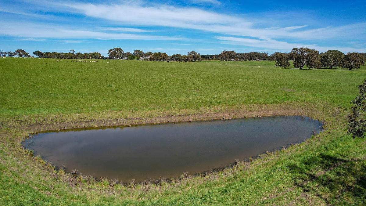 282 Clifton Road, Yulecart For Sale by Farmbuy.com - image 23