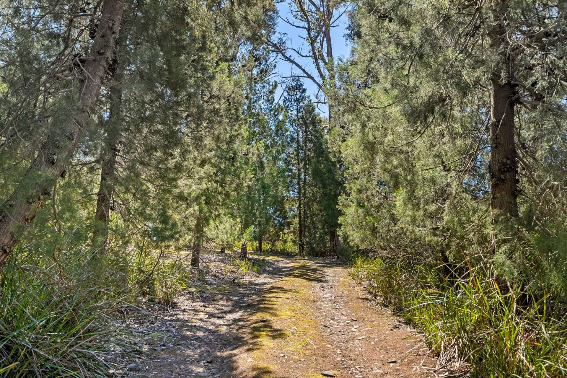 Premaydena For Sale by Farmbuy.com - image 32