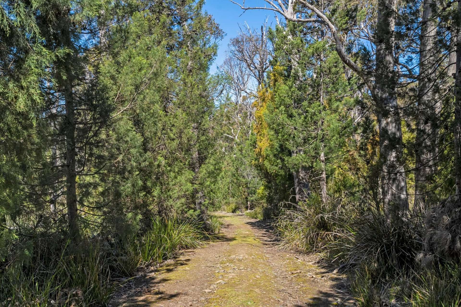 Premaydena For Sale by Farmbuy.com - image 29