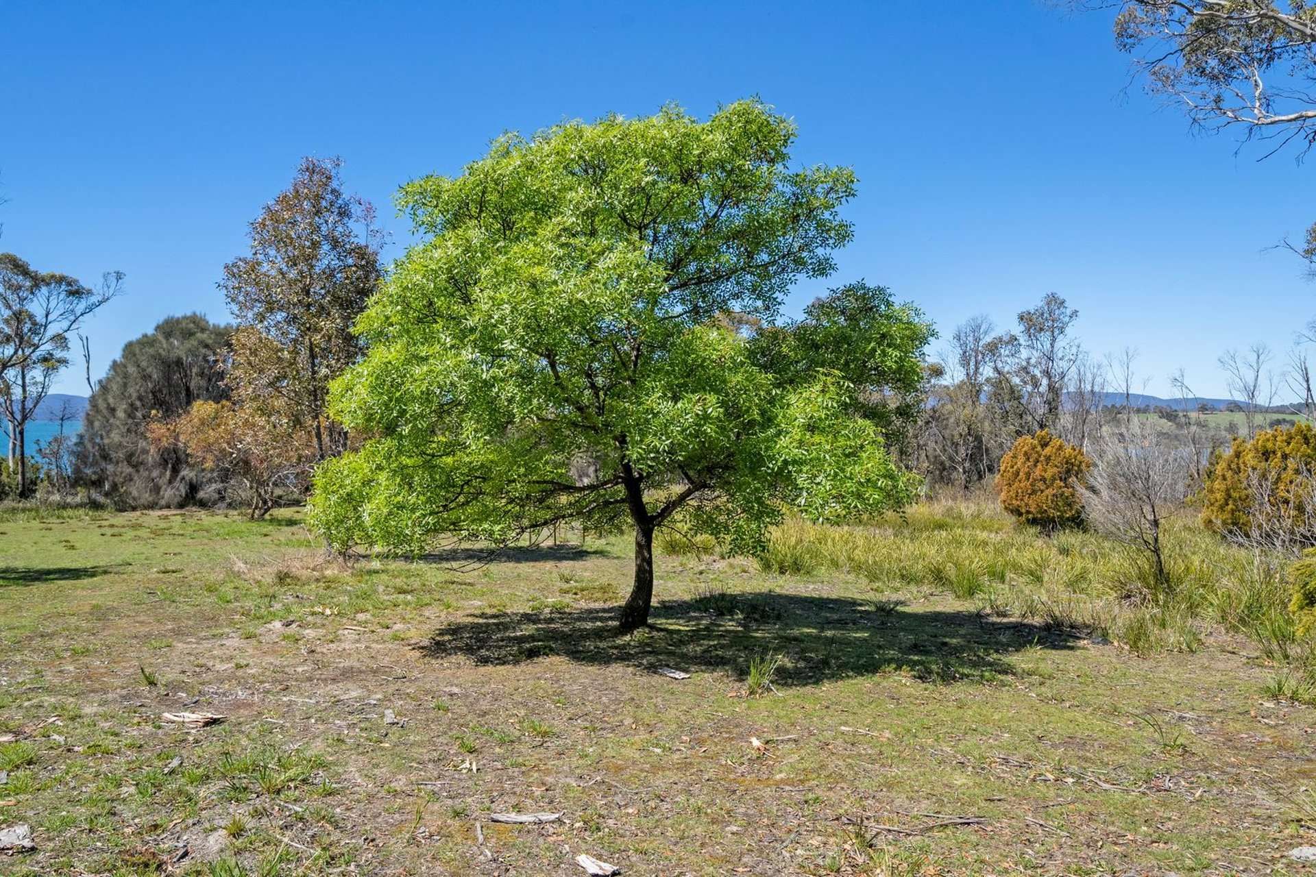 Premaydena For Sale by Farmbuy.com - image 30