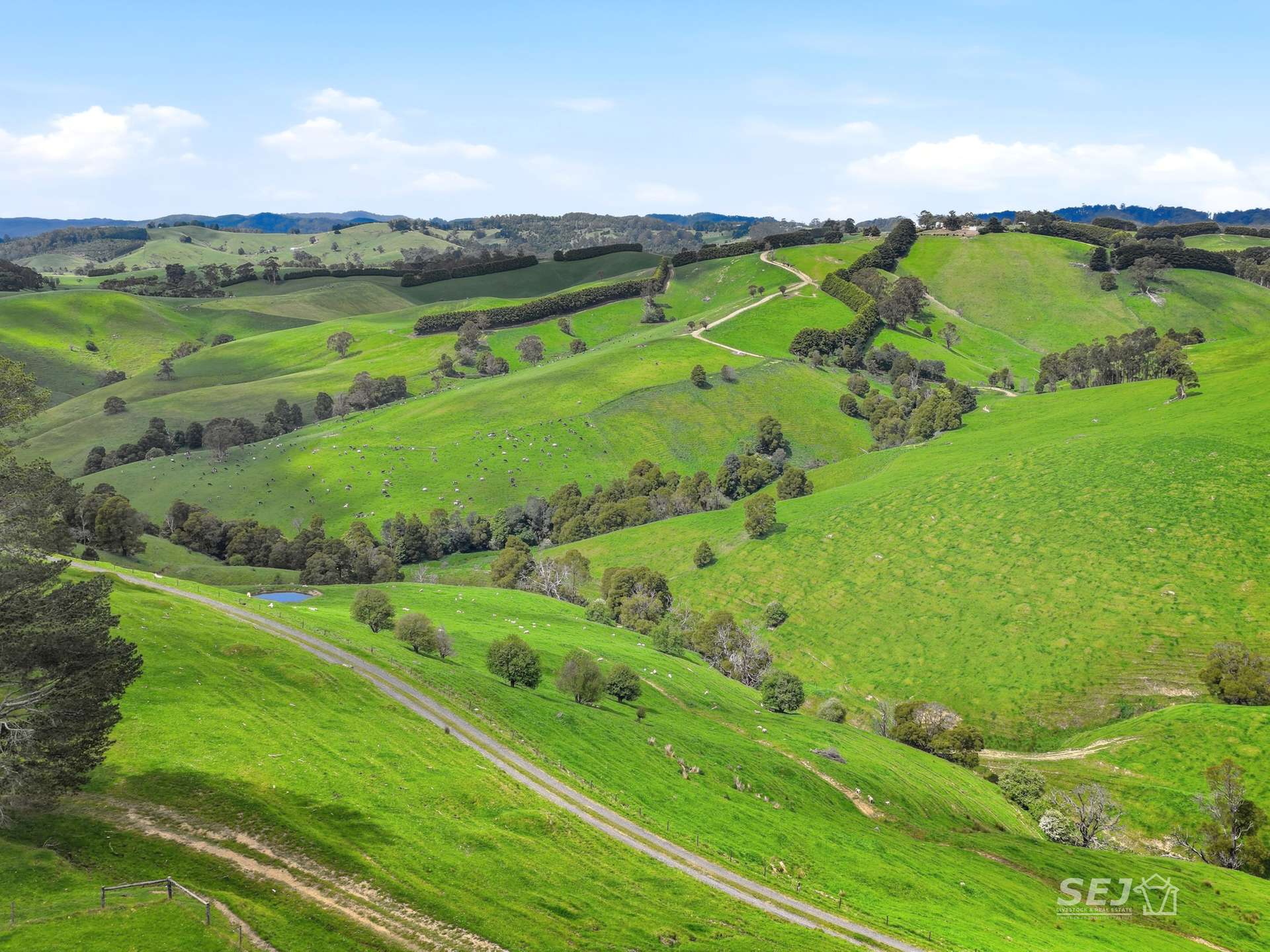 725 Dollar Road, Dollar For Sale by Farmbuy.com - image 7