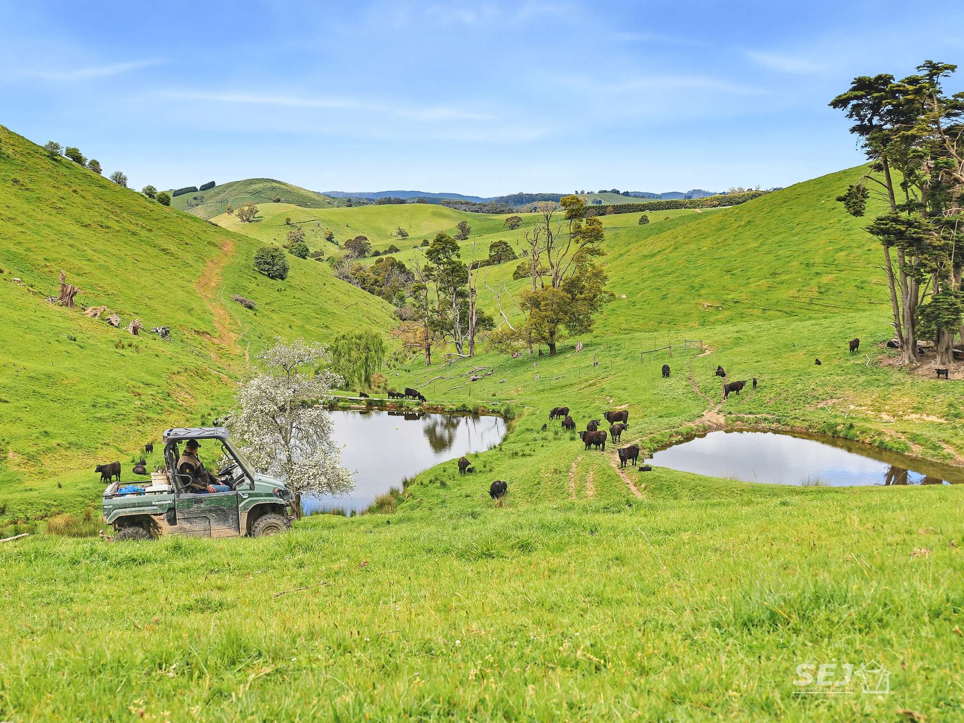 725 Dollar Road, Dollar For Sale by Farmbuy.com - image 8