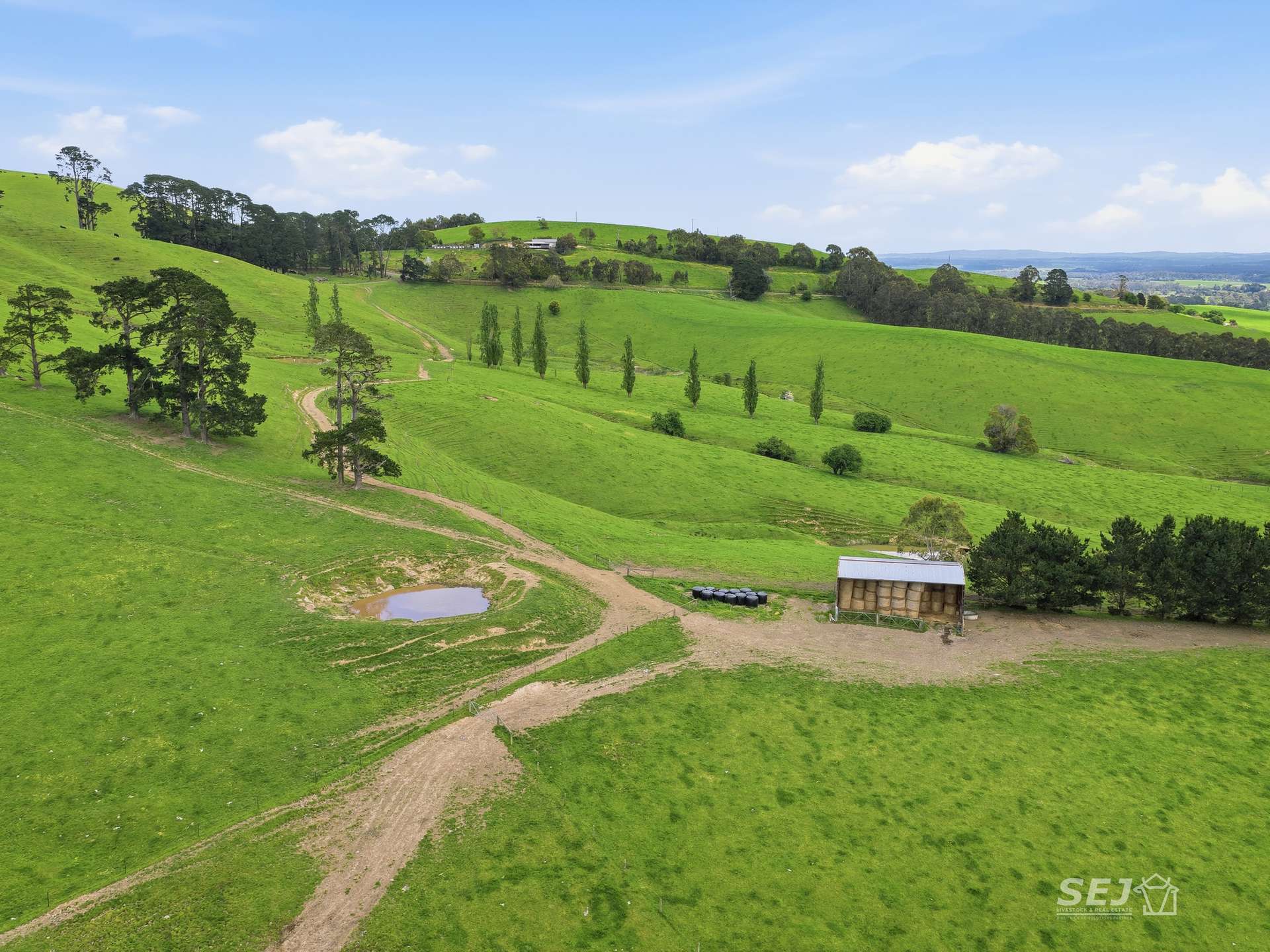 725 Dollar Road, Dollar For Sale by Farmbuy.com - image 11