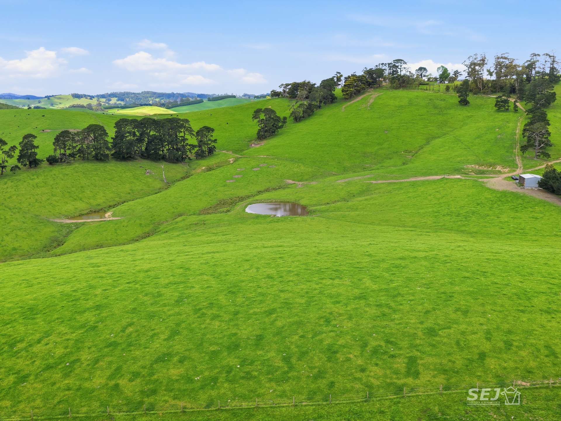 725 Dollar Road, Dollar For Sale by Farmbuy.com - image 5