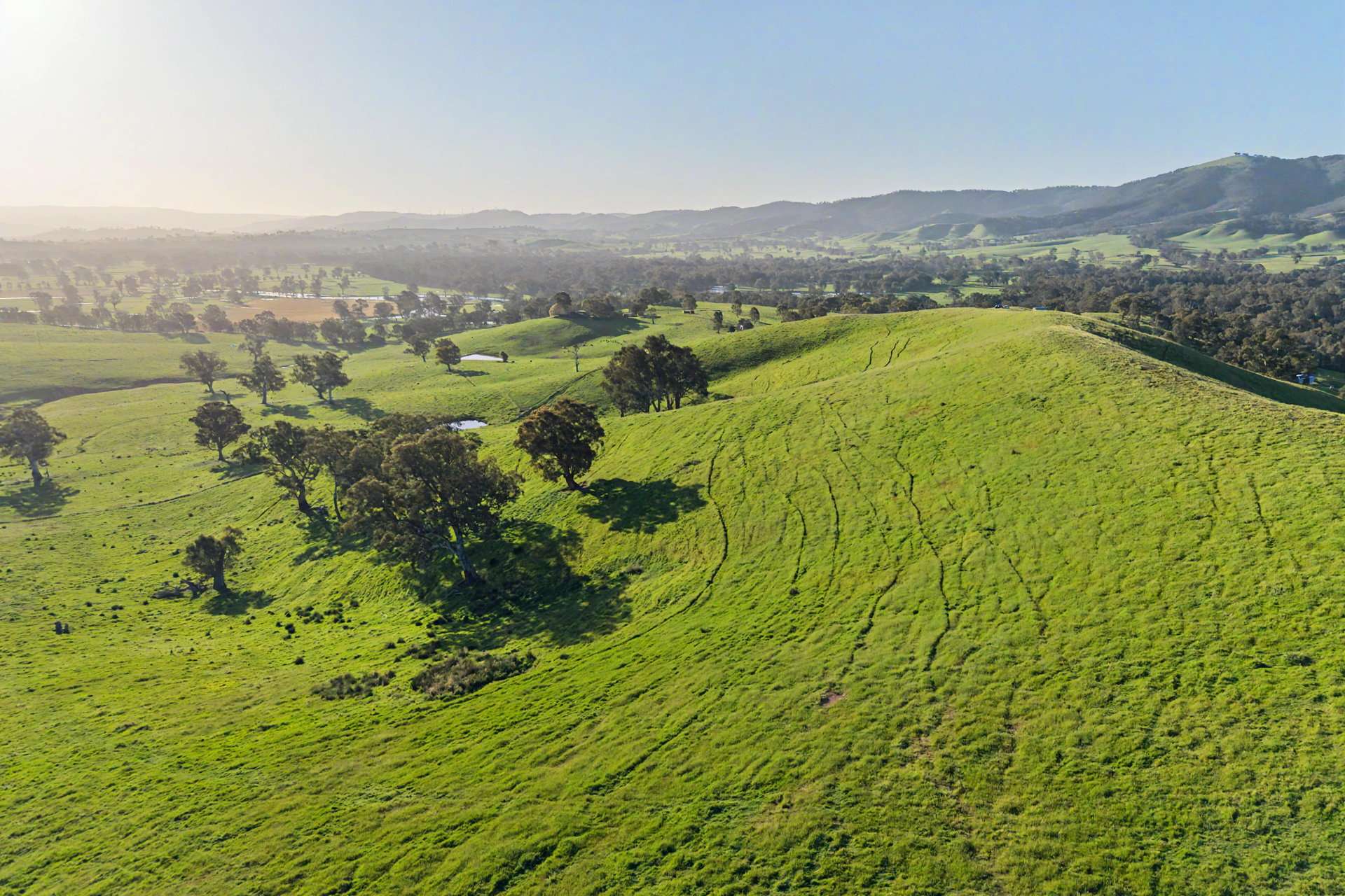 686 Killingworth Road, Killingworth For Sale by Farmbuy.com - image 16