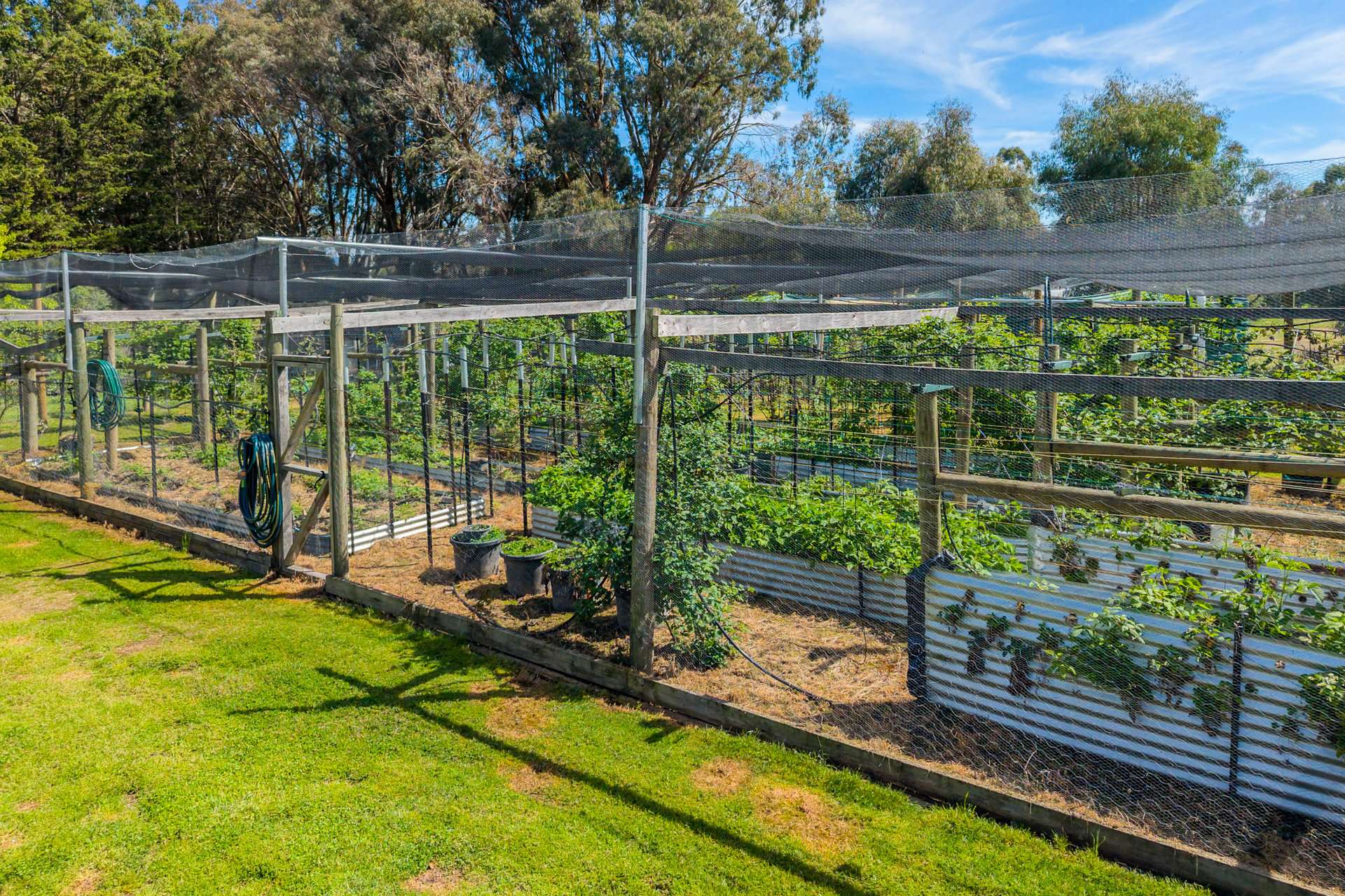 97 Highton Lane, Mansfield For Sale by Farmbuy.com - image 4