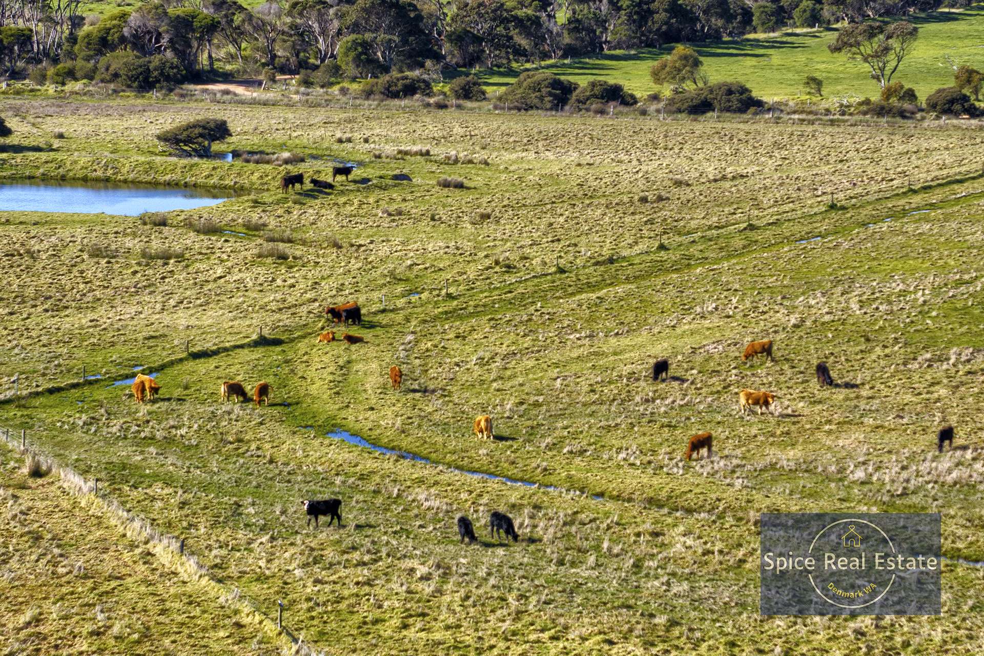 132 Plozza Road, Parryville For Sale by Farmbuy.com - image 16