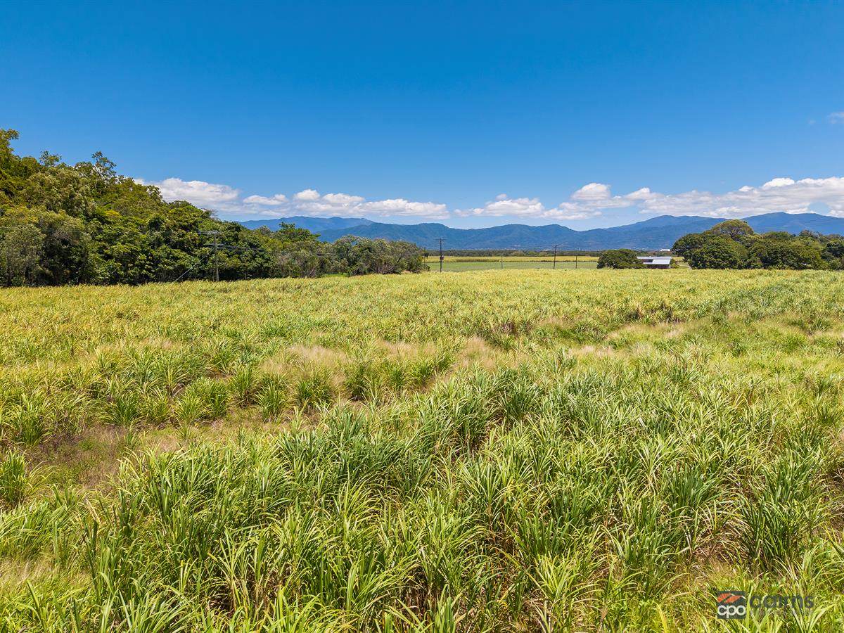 Lot's 2 & 3 Hamilton Road, Glen Boughton For Sale by Farmbuy.com - image 8