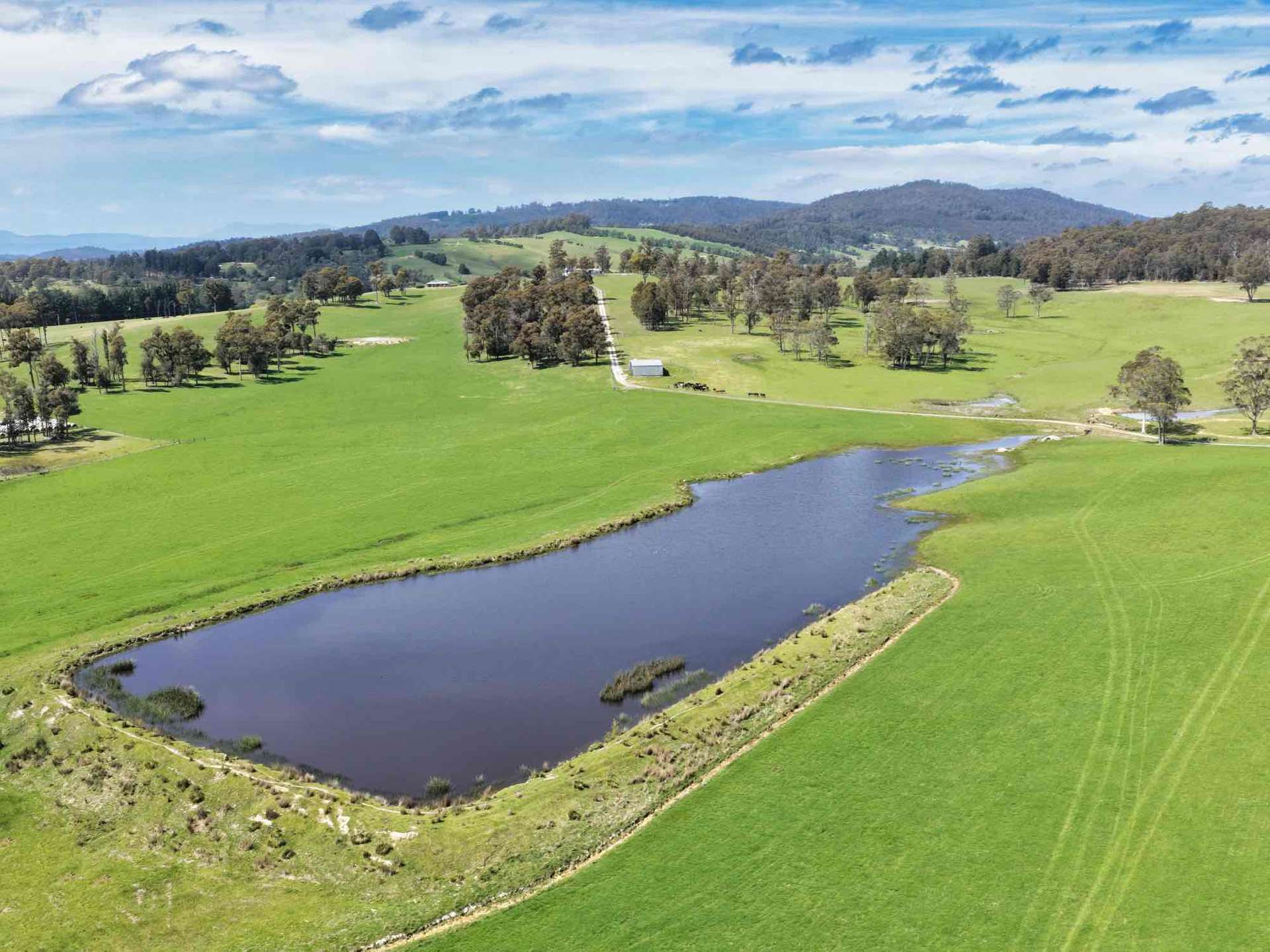 29 Glengarry Road, Glengarry For Sale by Farmbuy.com - image 10