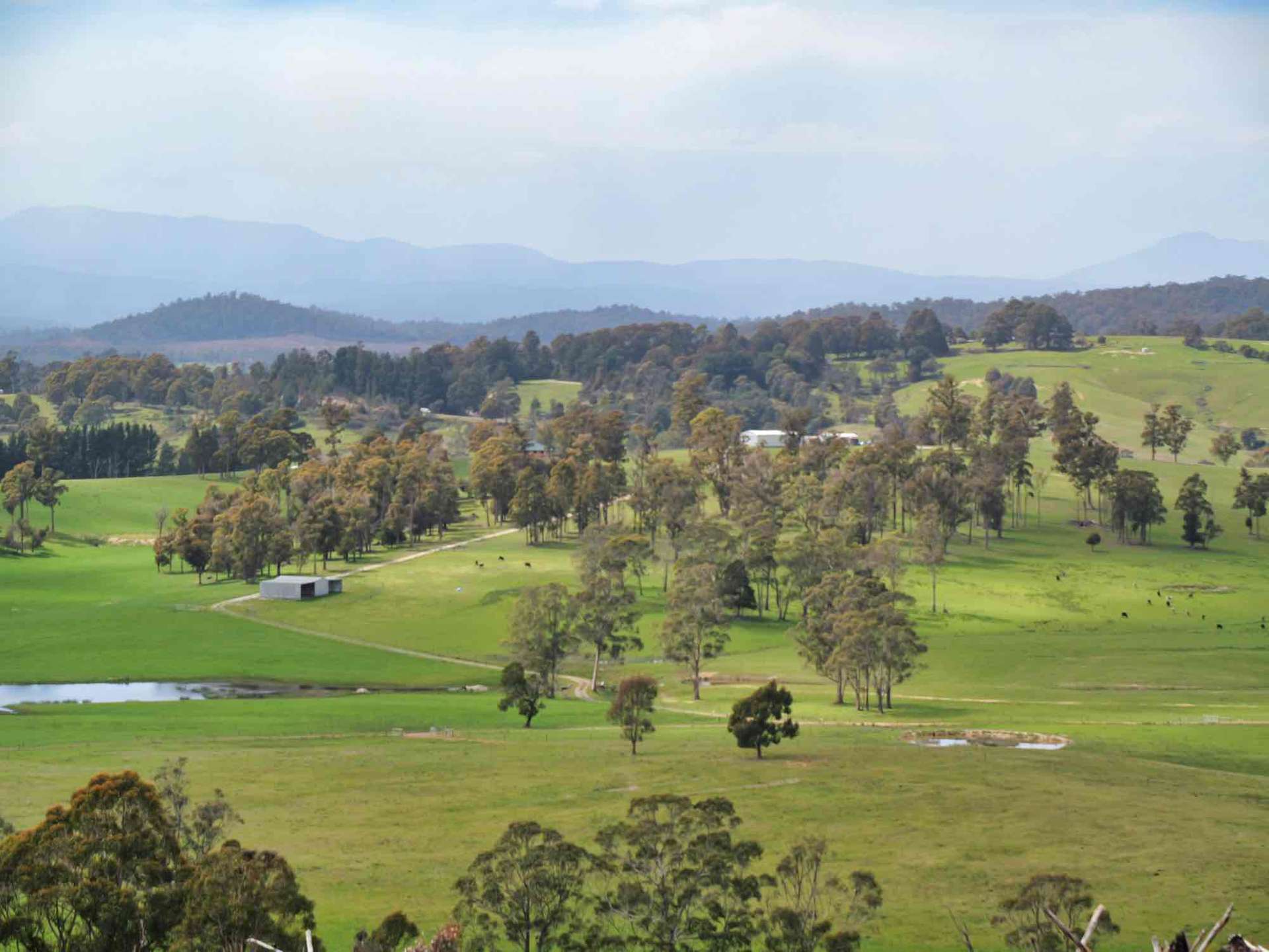 29 Glengarry Road, Glengarry For Sale by Farmbuy.com - image 6