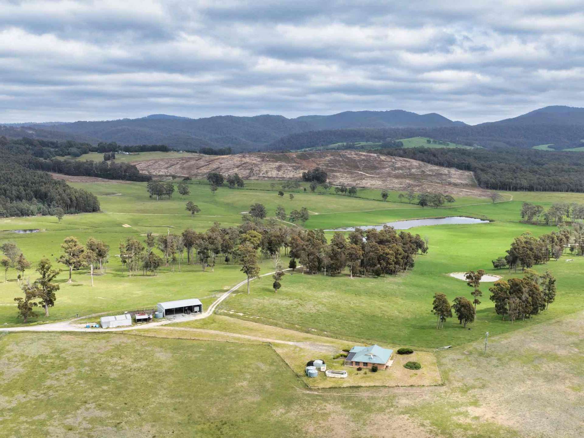 29 Glengarry Road, Glengarry For Sale by Farmbuy.com - image 9