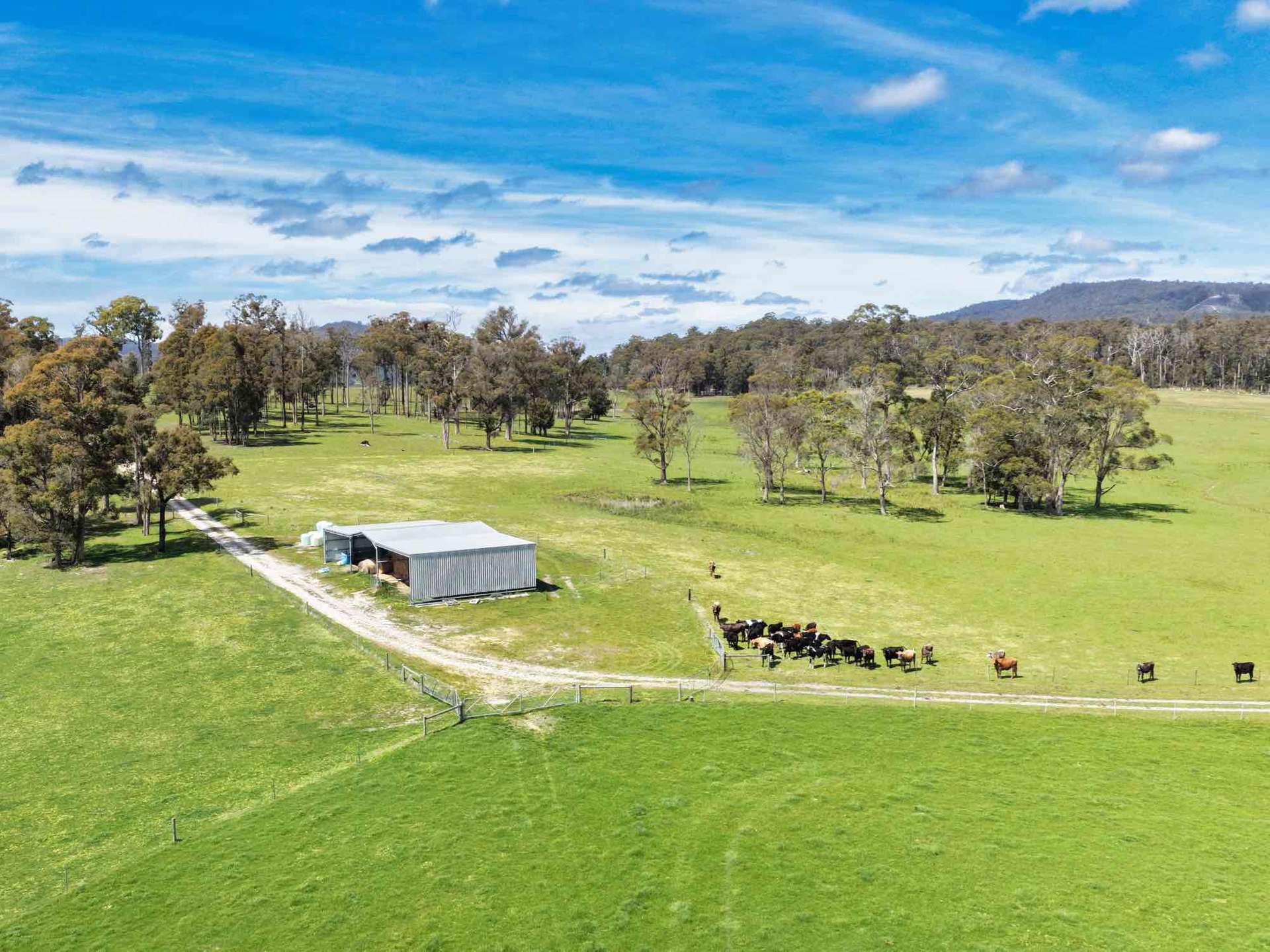29 Glengarry Road, Glengarry For Sale by Farmbuy.com - image 3