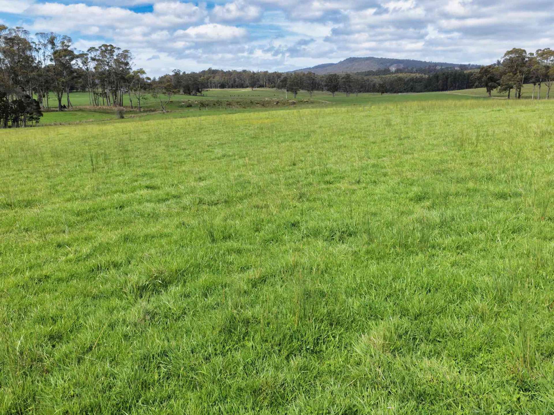 29 Glengarry Road, Glengarry For Sale by Farmbuy.com - image 4