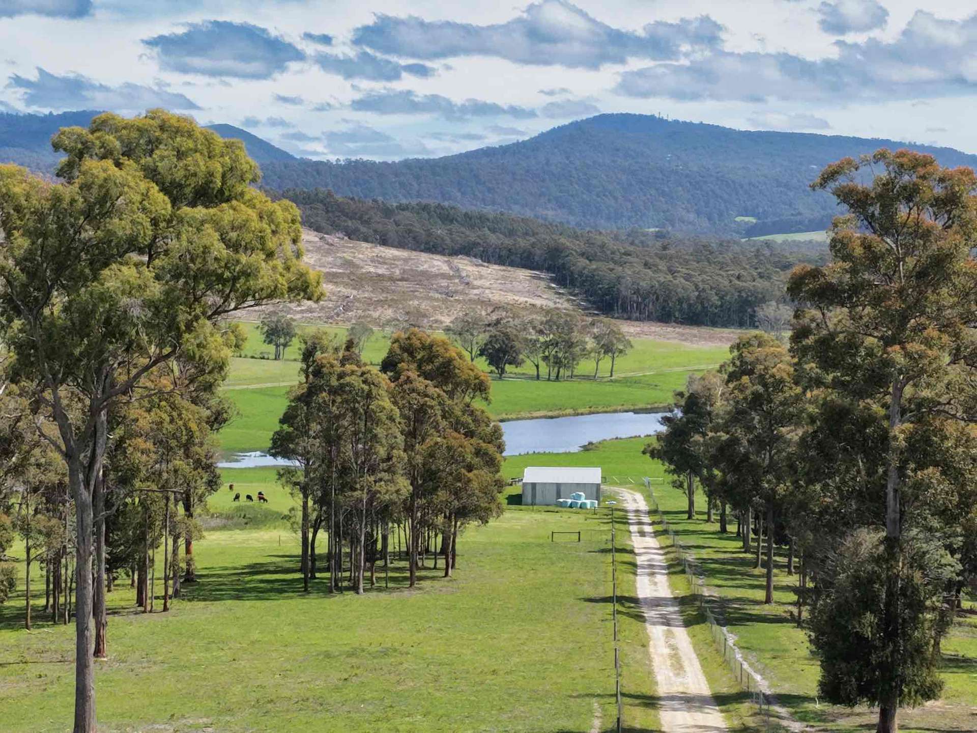 29 Glengarry Road, Glengarry For Sale by Farmbuy.com - image 2