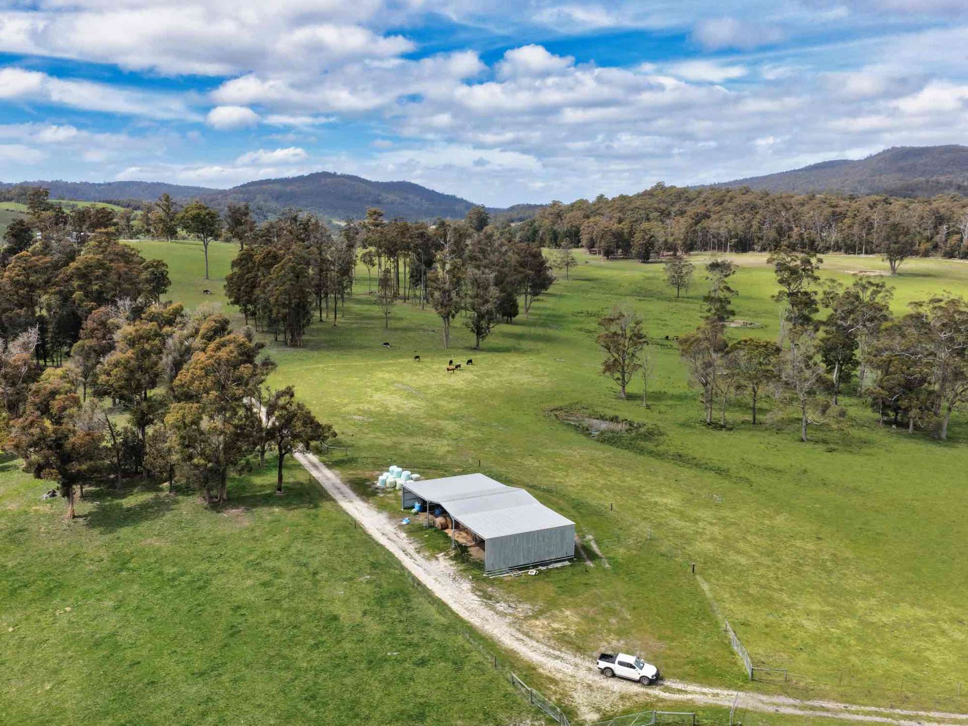 29 Glengarry Road, Glengarry For Sale by Farmbuy.com - image 12