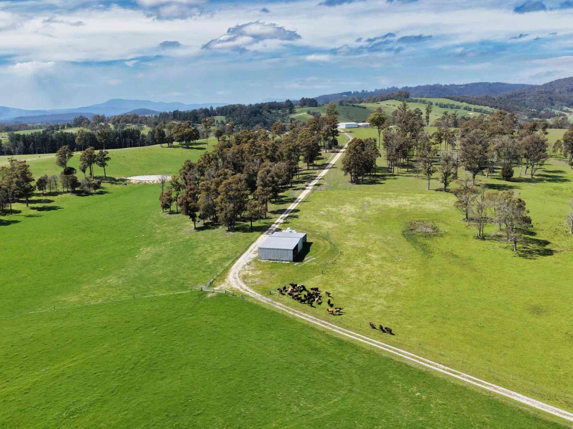 29 Glengarry Road, Glengarry For Sale by Farmbuy.com - image 1