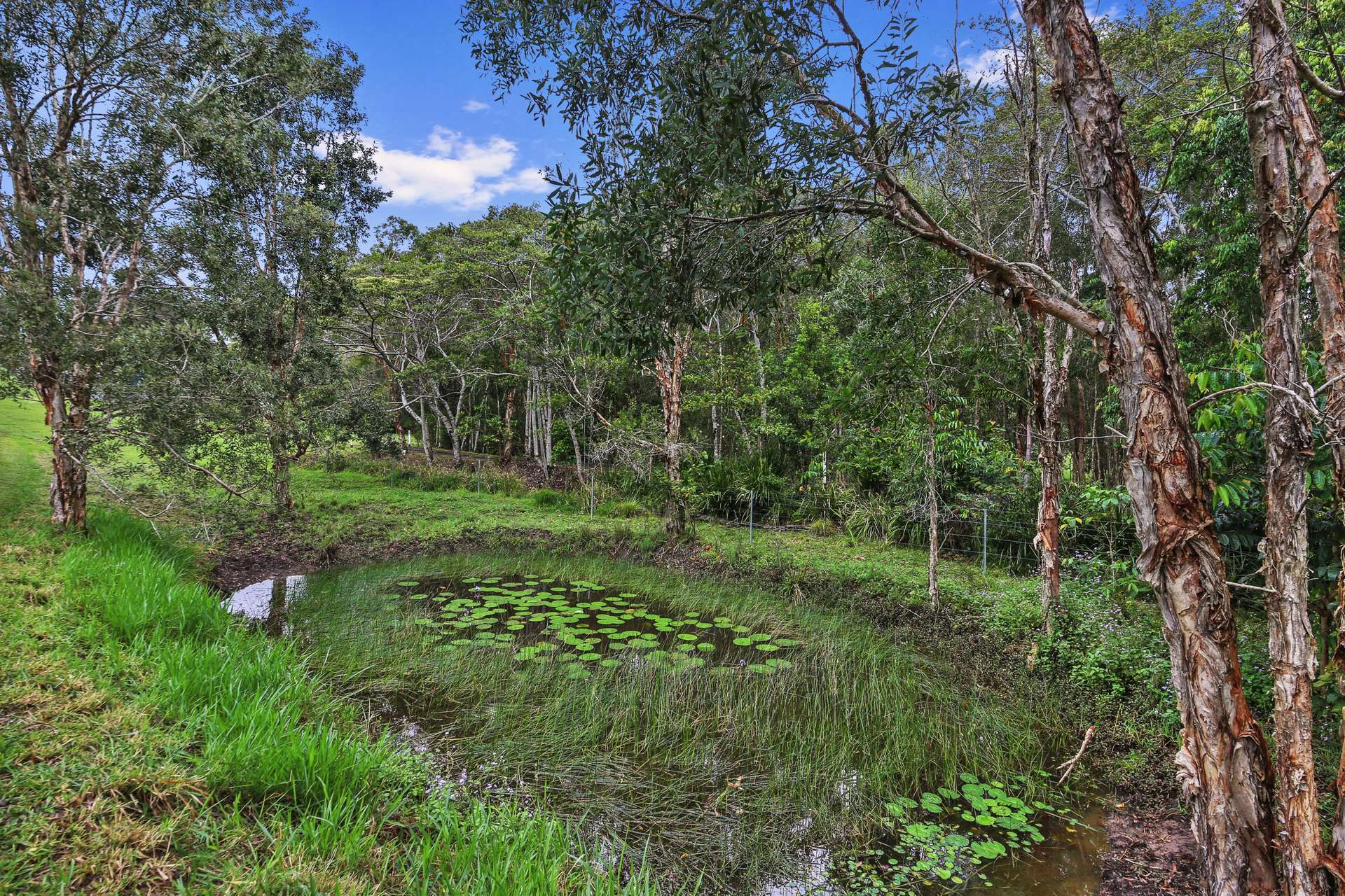 46 Dandaloo Drive, Cootharaba For Sale by Farmbuy.com - image 27