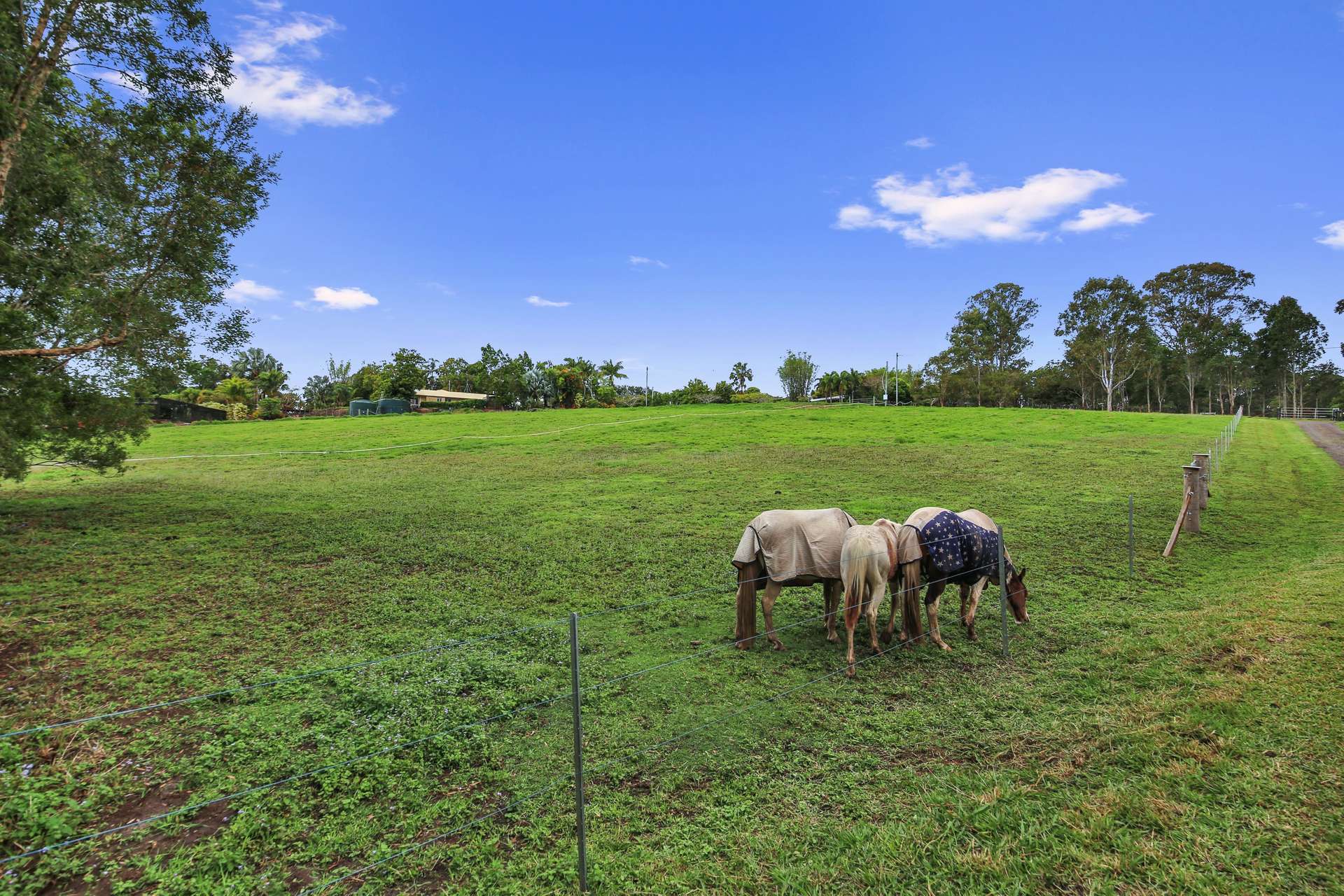 46 Dandaloo Drive, Cootharaba For Sale by Farmbuy.com - image 29