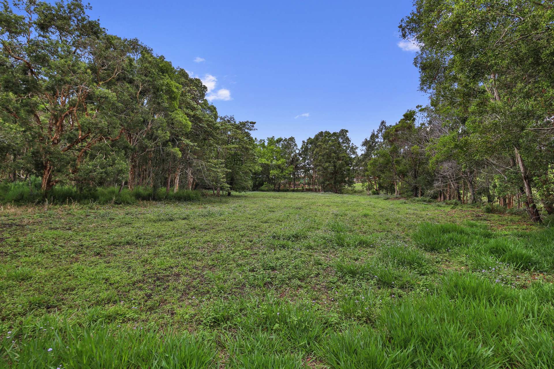 46 Dandaloo Drive, Cootharaba For Sale by Farmbuy.com - image 24