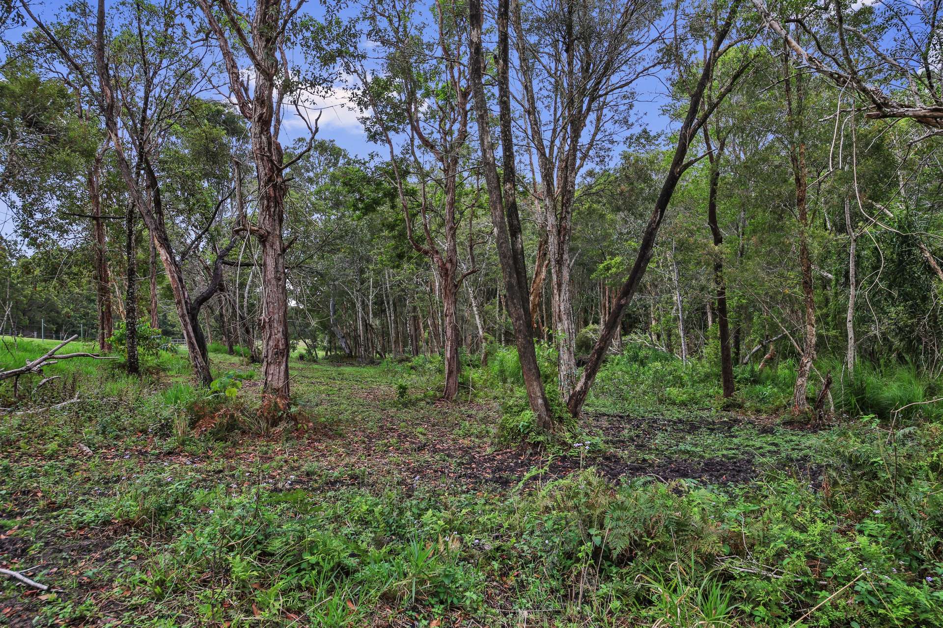 46 Dandaloo Drive, Cootharaba For Sale by Farmbuy.com - image 25