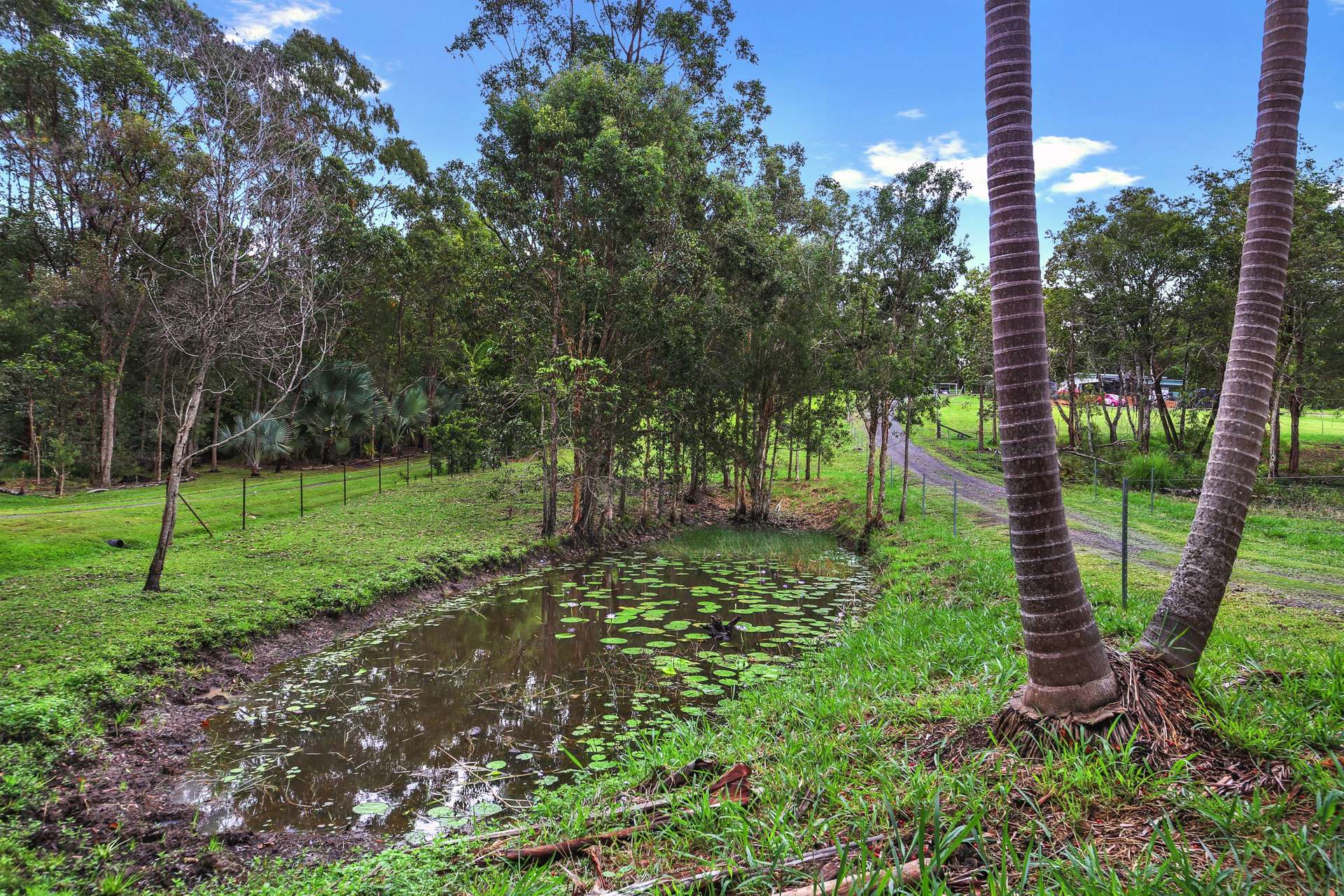 46 Dandaloo Drive, Cootharaba For Sale by Farmbuy.com - image 22