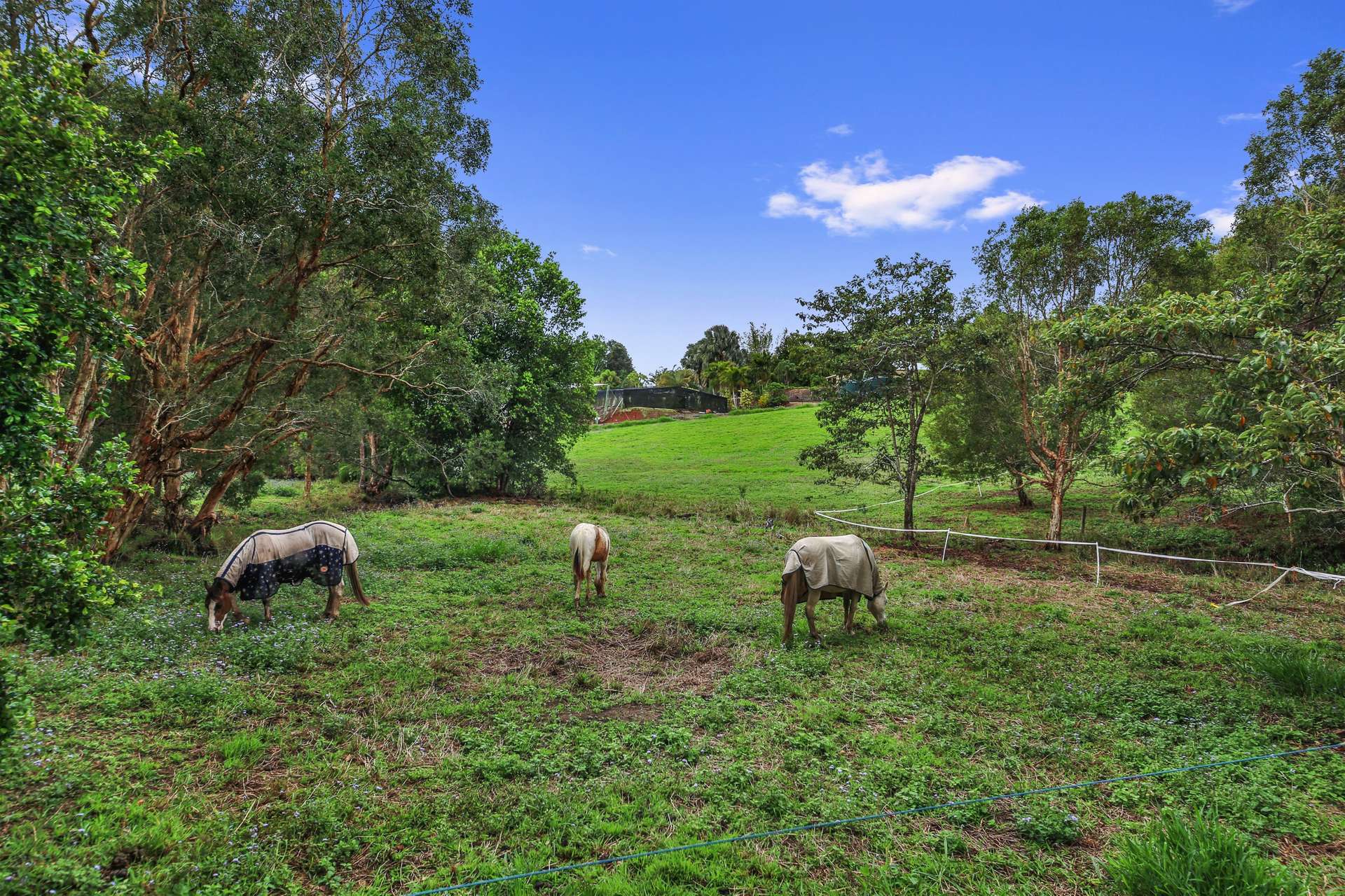 46 Dandaloo Drive, Cootharaba For Sale by Farmbuy.com - image 28