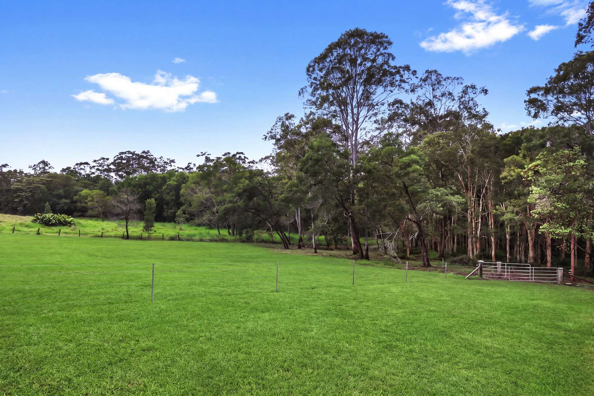 46 Dandaloo Drive, Cootharaba For Sale by Farmbuy.com - image 15