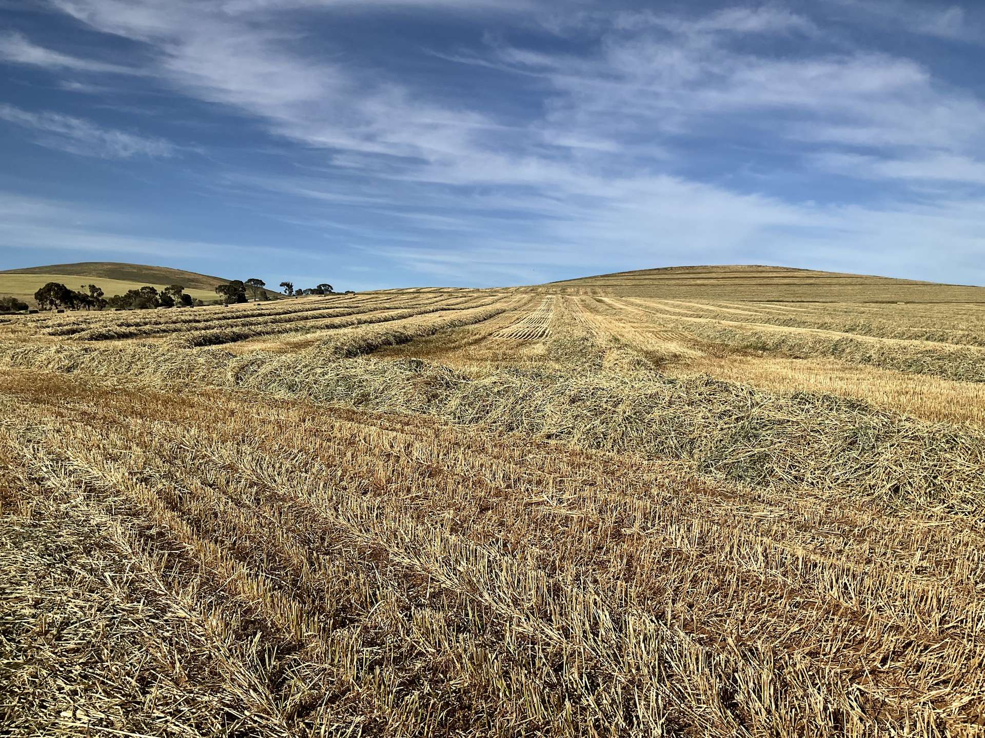 'White Springs' The Camels Hump Road, Leighton For Sale by Farmbuy.com - image 4