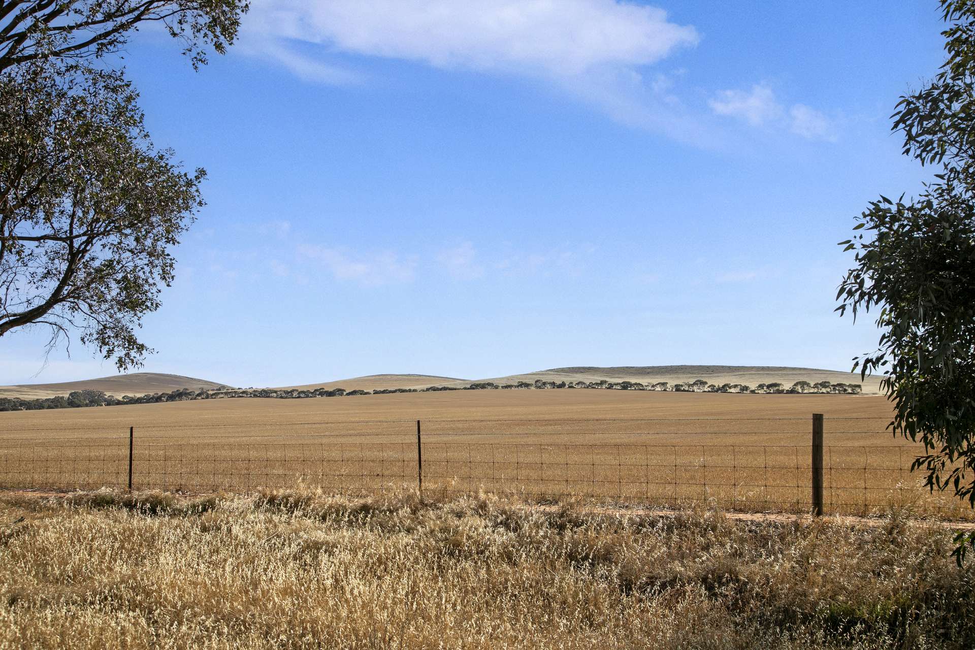 'White Springs' The Camels Hump Road, Leighton For Sale by Farmbuy.com - image 8