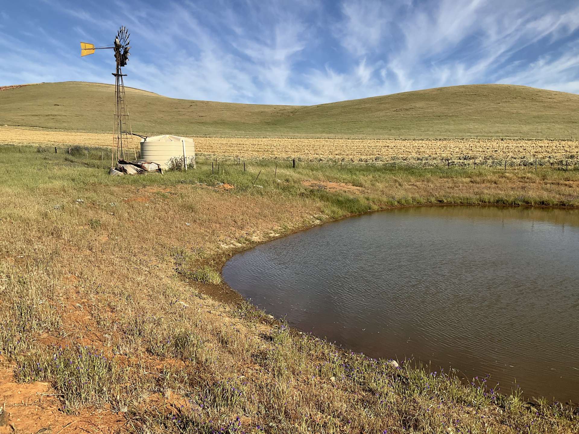 'White Springs' The Camels Hump Road, Leighton For Sale by Farmbuy.com - image 9