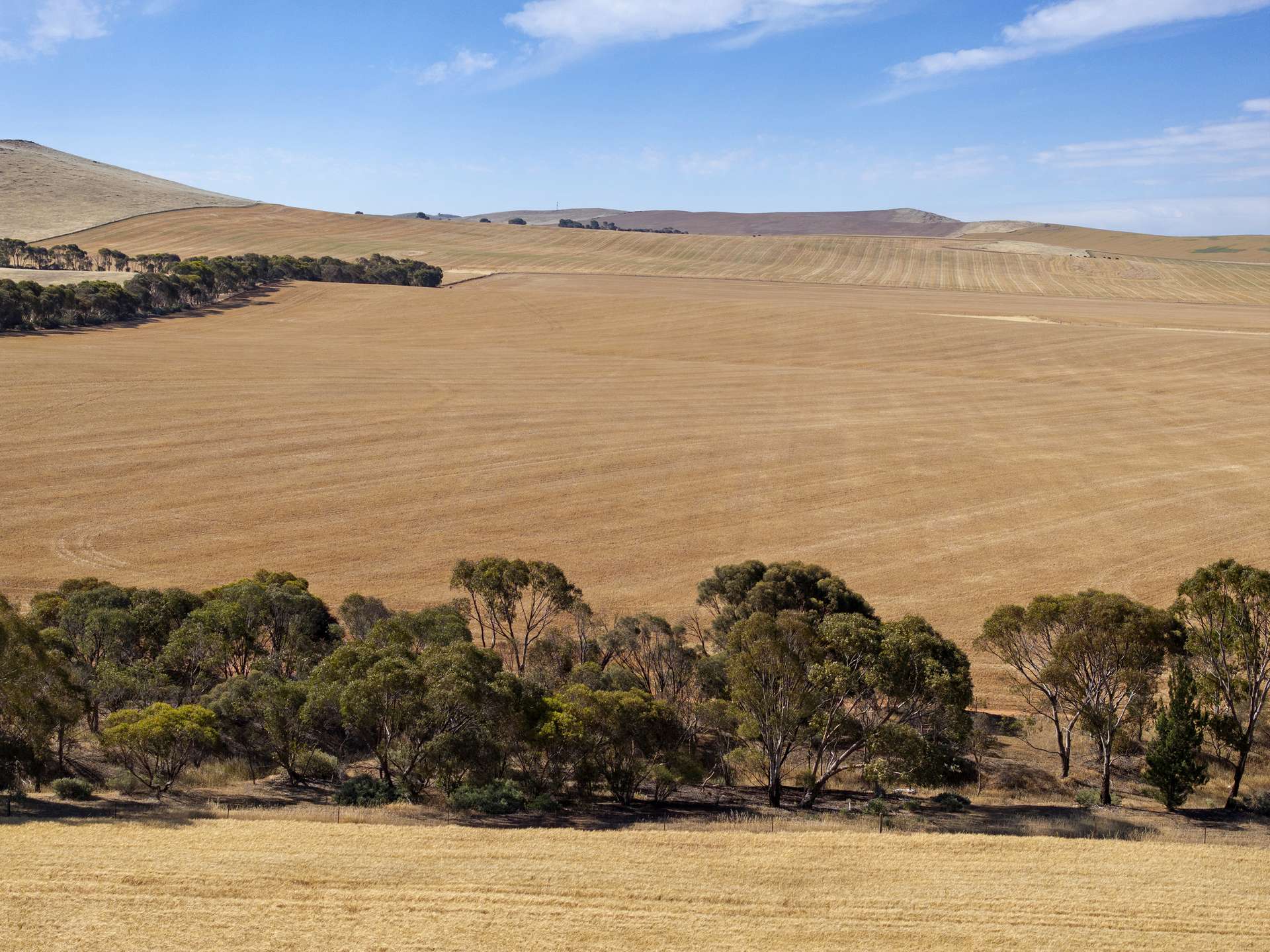 'White Springs' The Camels Hump Road, Leighton For Sale by Farmbuy.com - image 7
