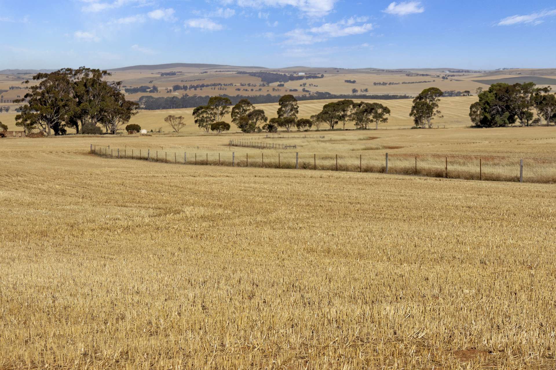 'White Springs' The Camels Hump Road, Leighton For Sale by Farmbuy.com - image 1