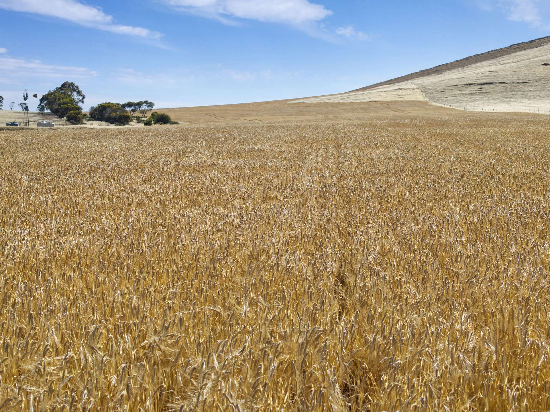 'White Springs' The Camels Hump Road, Leighton For Sale by Farmbuy.com - image 2