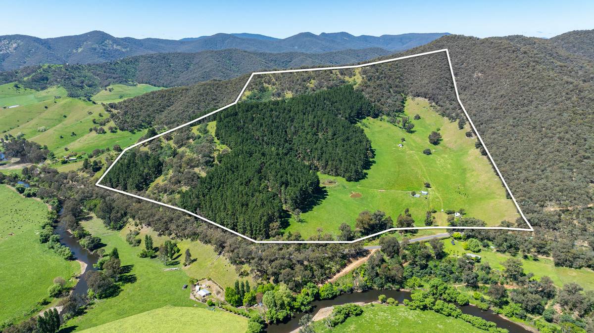 2769 Yabba Road, Tallandoon For Sale by Farmbuy.com - image 18