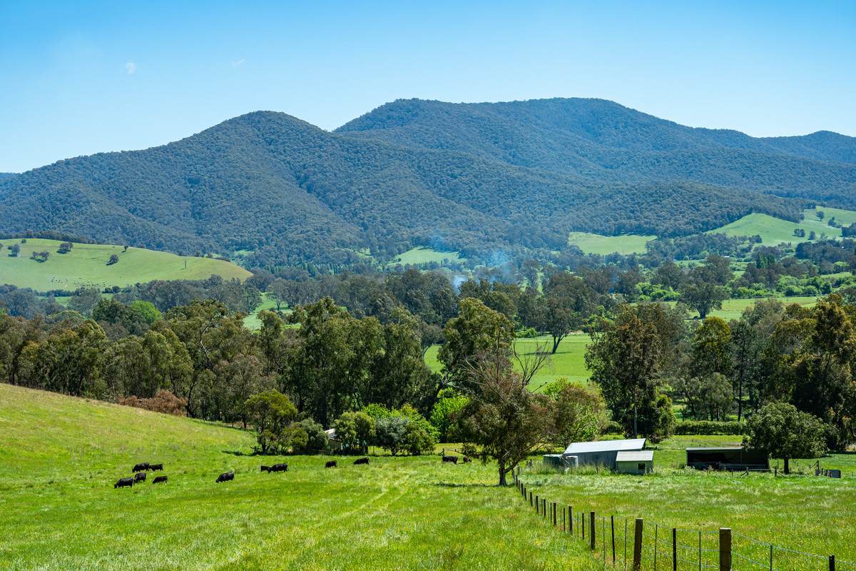 2769 Yabba Road, Tallandoon For Sale by Farmbuy.com - image 10