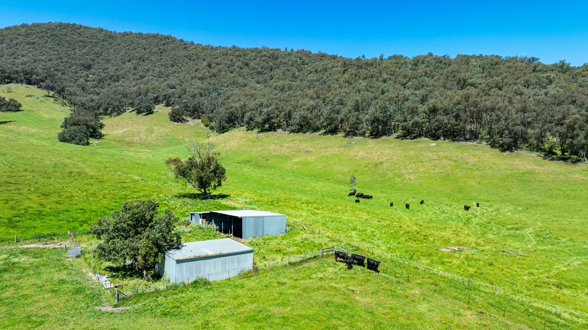 2769 Yabba Road, Tallandoon For Sale by Farmbuy.com - image 12