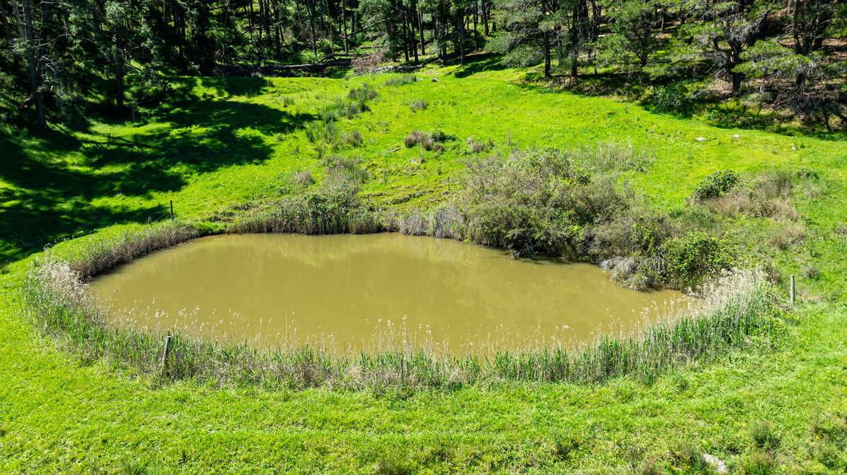 2769 Yabba Road, Tallandoon For Sale by Farmbuy.com - image 2