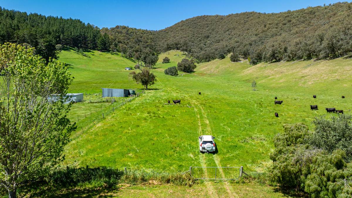 2769 Yabba Road, Tallandoon For Sale by Farmbuy.com - image 5