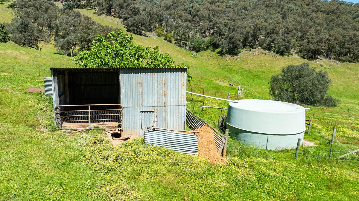 2769 Yabba Road, Tallandoon For Sale by Farmbuy.com - image 13